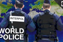 Interpol i političke igre