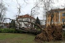 Devet mrtvih u oluji na severu Evrope