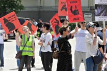 Protesti “Koalicije bez krzna” u Tuzli