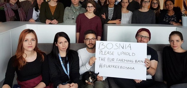 Regionalni protesti i globalna virtuelna podrška – Zatvorimo farme krzna u BiH