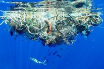 Količina plastičnog otpada u okeanima bi se mogla utrostručiti za deset godina