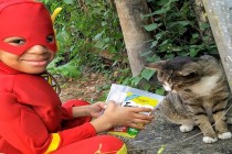 Mali superheroj spašava ulične mačke