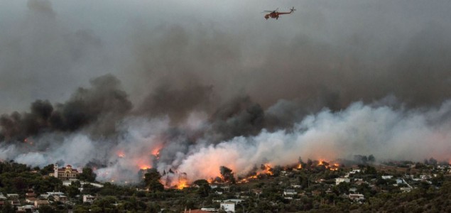 Požari u Grčkoj, 50 mrtvih