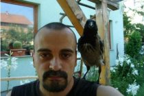 Odstrel vrana: Odgovor Sarajlije zastupnici Duraković hit na Facebooku