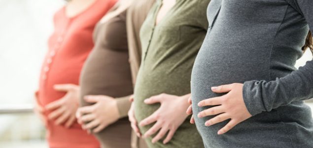 Jasmin Alić: Porodiljsko odsustvo bez diskriminacije