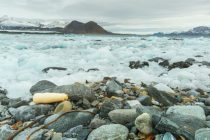 Kako je s Arktika uklonjeno više od osamdeset tisuća tona smeća?