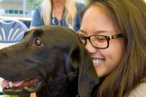 Kako terapeutski psi pomažu u učenju
