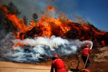 Najviši nivo uzbune: Hiljadu vatrogasaca bori se sa vatrom u Portugalu