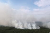 Vatrogasci se bore sa vatrom na površini od 30.800 hektara