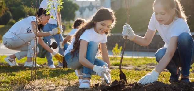 Divan projekat: Svi đaci prvaci u Beogradu od 15. oktobra sade svoje drvo