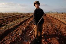 UN: Neuhranjeno 11 miliona Sjevernokorejaca