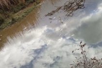 Pomor ribe u Neretvi zbog izlijevanja otpadnih voda s deponije Uborak