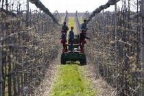 Von der Leyen: Ništa ne smije ometati poljoprivredu Evrope