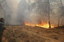 Velik šumski požar u okolini Černobila ne jenjava