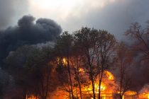 U požarima u Kaliformiji uništeno četiri miliona hektara