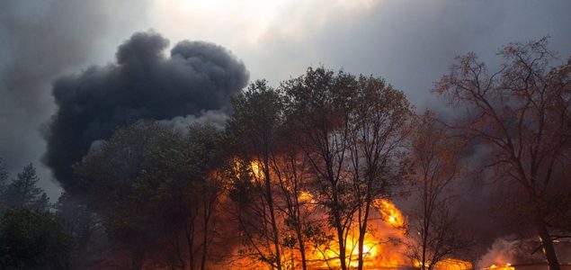 U požarima u Kaliformiji uništeno četiri miliona hektara