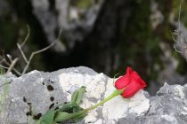 Zahtjev za izgradnju memorijala u Sarajevu za žrtve ubijene na Kazanima