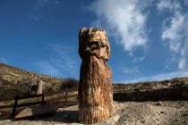 Lezbos: Fosilni ostaci drveta starog 20 miliona godina