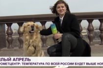 Pas ukrao mikrofon ruskoj novinarki dok se javljala uživo