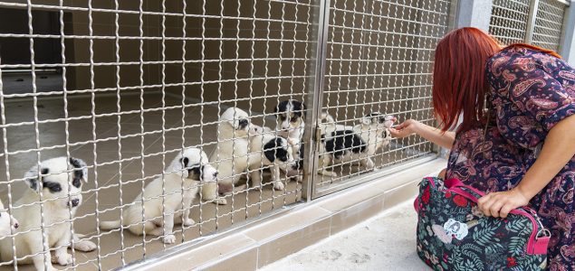 Goraždansko udruženje za zaštitu životinja “A.R.B.” preuzelo lokalni azil i spasilo 130 pasa