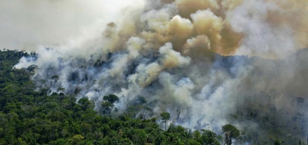 Amazonska prašuma sada emitira više CO2 nego što apsorbira