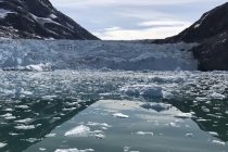 Klimatske promjene uzrokovale rekordno topljenje leda na Grenlandu