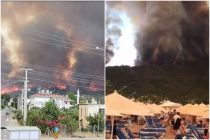 Turska: U strahovitim požarima poginule najmanje tri osobe, sumnja se da je vatra podmetnuta