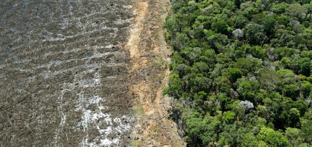 Krčenje šuma u brazilskoj Amazoniji doseglo je najveći godišnji nivo u posljednjoj deceniji