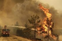 Broj mrtvih u požarima u Turskoj porastao na šest, poginula dva vatrogasca