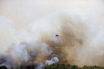 Erdogan: Šumski požari u Turskoj najgori u historiji