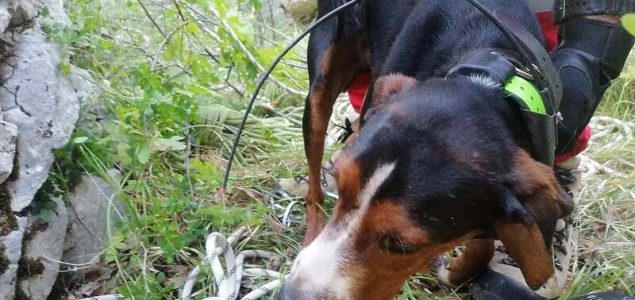 Mostarci spasili psa koji je upao u jamu duboku 20 metara
