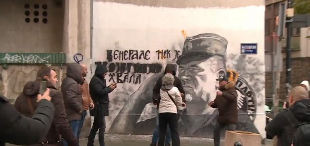 Poslanici EP osudili vlast u Srbiji zbog murala Ratka Mladića