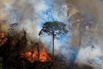 Naučnici upozoravaju da se sušenje Amazona bliži ‘prelomnoj tački’