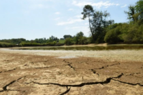 Francuska se suočava sa najtežom sušom u historiji