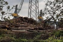 Chinese extract raw materials from BiH – Thousands of cubic meters of logs are being bought en masse