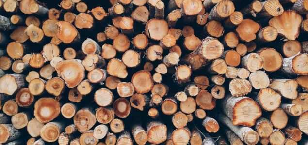 The Government of RS requests a ban on the export of logs and energy products from Bosnia and Herzegovina
