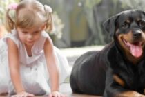 Ove četiri pasmine pasa nisu najbolji izbor za porodice s malom djecom