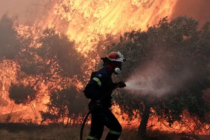 Tri najgore sezone šumskih požara u EU desile su se u poslednjih šest godina