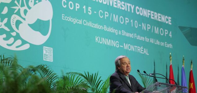 Montreal – Samit UN-a o zaštiti bioraznolikosti, hitno zaštititi što je ostalo