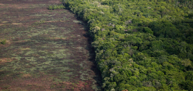 Rekordno krčenje šume u brazilskoj Amazoniji