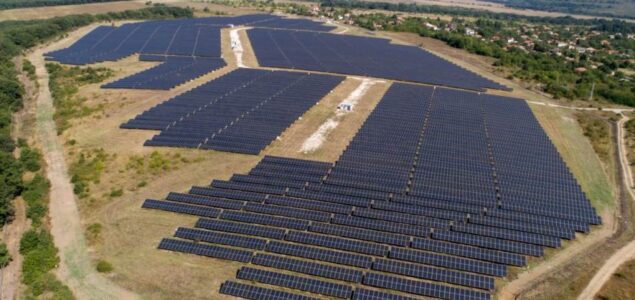 Zaštita za biljke i energija za 2.810 domaćinstava: Počela izgradnja najveće solarne elektrane iznad malinjaka u Evropi