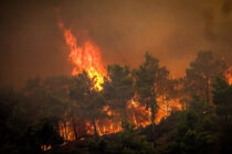 Vjetar širi požar na Rodosu, evakuirano 30.000 ljudi