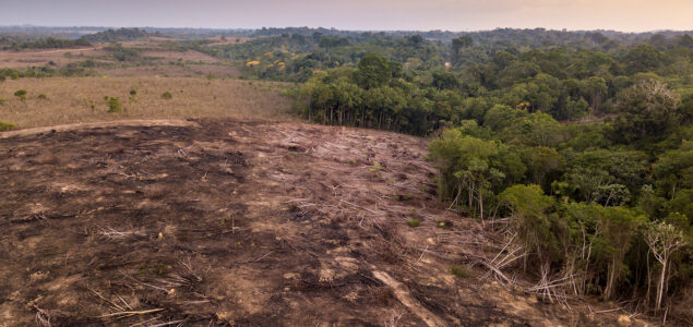 Amazonski domoroci upozoravaju da krčenje šuma vodi do velike katastrofe