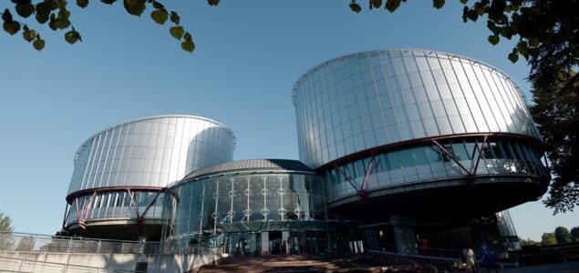 Historijska presuda Evropskog suda: Traži se jedna izborna jedinica za Predsjedništvo i Dom naroda BiH