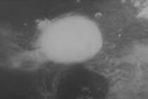 Prije 78 godina bačena je atomska bomba na Hirošimu